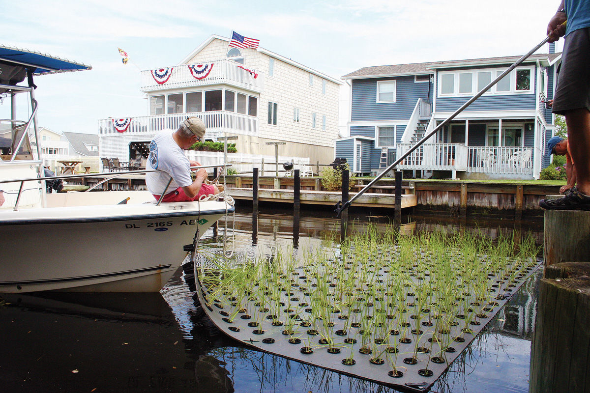 ‘They look like little floating islands’: South Bethany upgrades canals, more plants, less soil